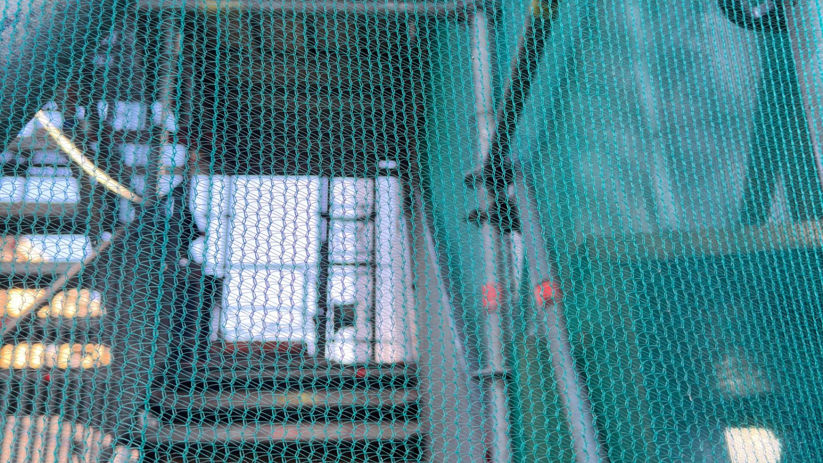 Debris Netting